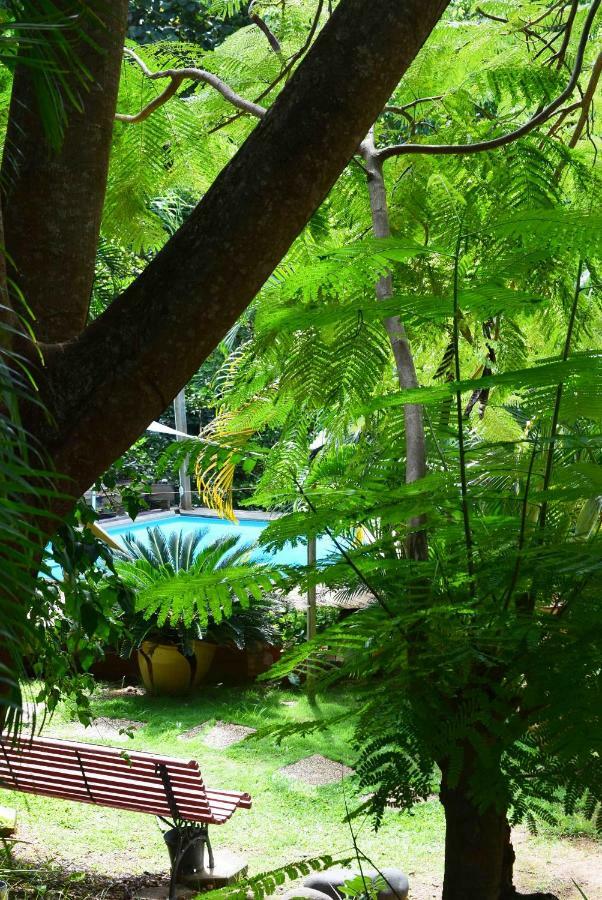 Ecolokay Apartamento La Trinité Exterior foto